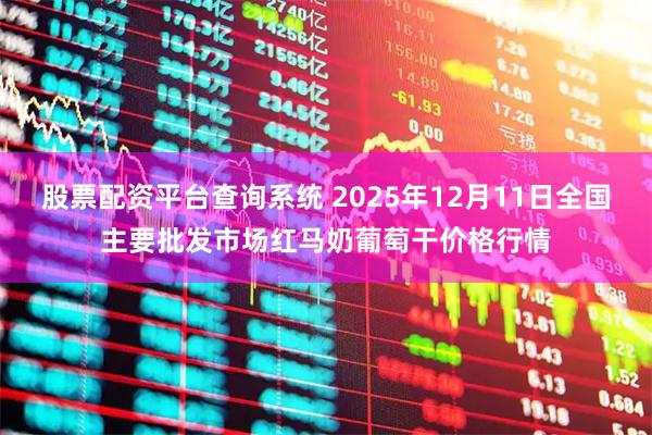 股票配资平台查询系统 2025年12月11日全国主要批发市场红马奶葡萄干价格行情