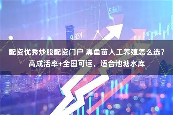 配资优秀炒股配资门户 黑鱼苗人工养殖怎么选？高成活率+全国可运，适合池塘水库