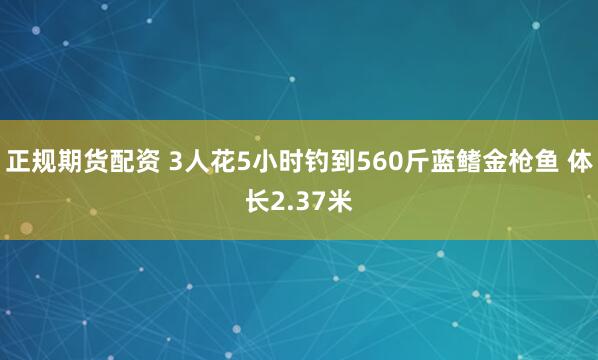 正规期货配资 3人花5小时钓到560斤蓝鳍金枪鱼 体长2.37米